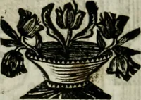 An illustration from La nuova architettura civile, e militare (1717)