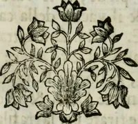 An illustration from La nuova architettura civile, e militare (1717)