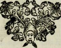 An illustration from La nuova architettura civile, e militare (1717)