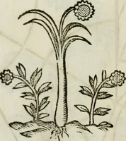An illustration from La nuova architettura civile, e militare (1717)