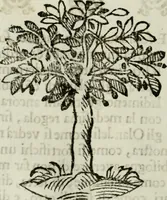 An illustration from La nuova architettura civile, e militare (1717)