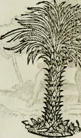 An illustration from La nuova architettura civile, e militare (1717)