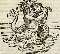 An illustration from La nuova architettura civile, e militare (1717)