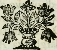 An illustration from La nuova architettura civile, e militare (1717)