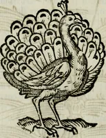 An illustration from La nuova architettura civile, e militare (1717)