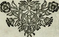 An illustration from La nuova architettura civile, e militare (1717)