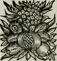 An illustration from La nuova architettura civile, e militare (1717)