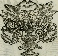 Picture 252 of 292 from La nuova architettura civile, e militare (1717), leaf 525