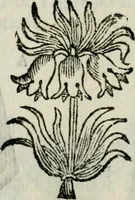An illustration from La nuova architettura civile, e militare (1717)