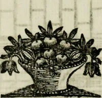 An illustration from La nuova architettura civile, e militare (1717)