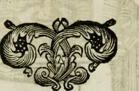 Picture 272 of 292 from La nuova architettura civile, e militare (1717), leaf 561