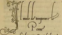 An illustration from La operina di Ludouico Vicentino, da imparare di scriuere littera cancellarescha (1524)