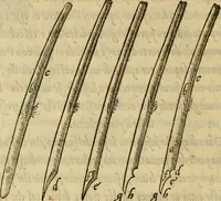 An illustration from La operina di Ludouico Vicentino, da imparare di scriuere littera cancellarescha (1524)