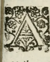 An illustration from La Pavia trionfante (1606)