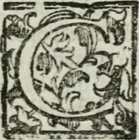 An illustration from La Pavia trionfante (1606)