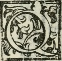 An illustration from La Pavia trionfante (1606)