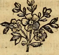 An illustration from La paysane pervertie, ou Les dangers de la ville : histoire d'Ursule R**, sur d'Edmond, le paysan, mise-au-jour d'après les véritables lettres des personages ... (1784)