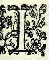 An illustration from La pazzesca pazzia de gl'hvomini e donne di corte innamorati, overo, Il cortigiano disperato (1608)