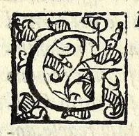 Picture 17 of 20 from La pazzesca pazzia de gl'hvomini e donne di corte innamorati, overo, Il cortigiano disperato (1608), leaf 214