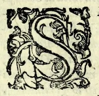 Picture 19 of 20 from La pazzesca pazzia de gl'hvomini e donne di corte innamorati, overo, Il cortigiano disperato (1608), leaf 223