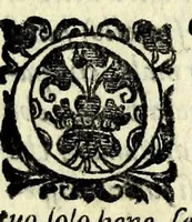 Picture 3 of 20 from La pazzesca pazzia de gl'hvomini e donne di corte innamorati, overo, Il cortigiano disperato (1608), leaf 25