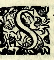 Picture 20 of 20 from La pazzesca pazzia de gl'hvomini e donne di corte innamorati, overo, Il cortigiano disperato (1608), leaf 295