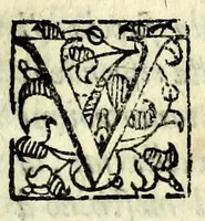 An illustration from La pazzesca pazzia de gl'hvomini e donne di corte innamorati, overo, Il cortigiano disperato (1608)