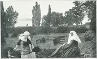 Picture 154 of 286 from La peinture anglaise de ses origines a nos jours (1908), leaf 232