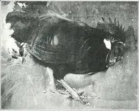 An illustration from La peinture anglaise de ses origines a nos jours (1908)
