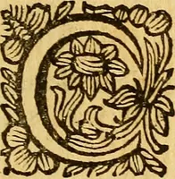 An illustration from La perfettione del cavallo, libri tre, di Francesco Liberati Romano (1669)