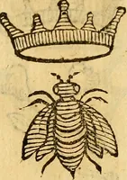 Picture 27 of 366 from La perfettione del cavallo, libri tre, di Francesco Liberati Romano (1669), leaf 154