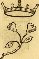 Picture 29 of 366 from La perfettione del cavallo, libri tre, di Francesco Liberati Romano (1669), leaf 155