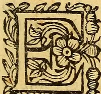 An illustration from La perfettione del cavallo, libri tre, di Francesco Liberati Romano (1669)