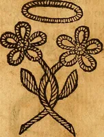 Picture 50 of 366 from La perfettione del cavallo, libri tre, di Francesco Liberati Romano (1669), leaf 160