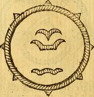Picture 151 of 366 from La perfettione del cavallo, libri tre, di Francesco Liberati Romano (1669), leaf 187