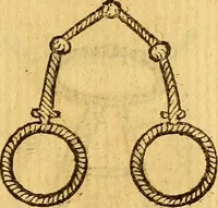 An illustration from La perfettione del cavallo, libri tre, di Francesco Liberati Romano (1669)