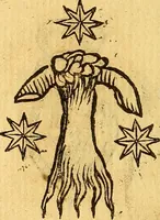 Picture 256 of 366 from La perfettione del cavallo, libri tre, di Francesco Liberati Romano (1669), leaf 215