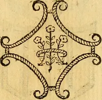 Picture 258 of 366 from La perfettione del cavallo, libri tre, di Francesco Liberati Romano (1669), leaf 216