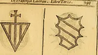Picture 265 of 366 from La perfettione del cavallo, libri tre, di Francesco Liberati Romano (1669), leaf 218