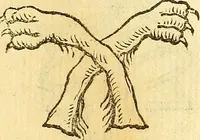 An illustration from La perfettione del cavallo, libri tre, di Francesco Liberati Romano (1669)