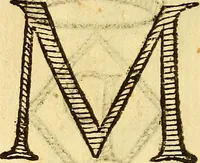 Picture 338 of 366 from La perfettione del cavallo, libri tre, di Francesco Liberati Romano (1669), leaf 237