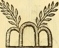An illustration from La perfettione del cavallo, libri tre, di Francesco Liberati Romano (1669)