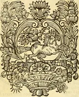 Picture 365 of 366 from La perfettione del cavallo, libri tre, di Francesco Liberati Romano (1669), leaf 245