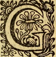 An illustration from La perfettione del cavallo, libri tre, di Francesco Liberati Romano (1669)