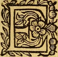 An illustration from La perfettione del cavallo, libri tre, di Francesco Liberati Romano (1669)
