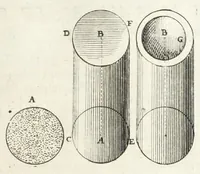 Picture 60 of 61 from La perspectiue pratique : necessaire a tous peintres, graueurs, sculpteurs, architectes, orfeures, brodeurs, tapissiers, et autres qui se meslent de desseigner (1647), leaf 431