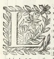 An illustration from La perspectiue pratique : necessaire a tous peintres, graueurs, sculpteurs, architectes, orfeures, brodeurs, tapissiers, et autres qui se meslent de desseigner (1647)
