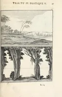 Picture 30 of 49 from La perspectiue pratique : necessaire a tous peintres, graueurs, sculpteurs, architectes, orfeures, brodeurs, tapissiers, et autres qui se meslent de desseigner (1647), leaf 265
