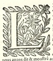 Picture 24 of 63 from La perspective pratiqve : necessaire a tovs peintres, graveurs, architectes, brodeurs, scvlpteurs, orfevres, tapissiers, et autres qui se meslent de desseigner (1663), leaf 196