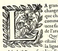 An illustration from La perspective pratiqve : necessaire a tovs peintres, graveurs, architectes, brodeurs, scvlpteurs, orfevres, tapissiers, et autres qui se meslent de desseigner (1663)